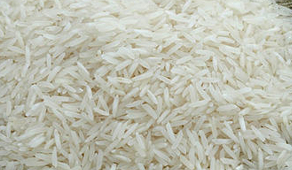 Indian Rice Suppliers in New Delhi