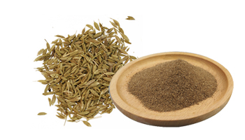 Cumin Powder Suppliers