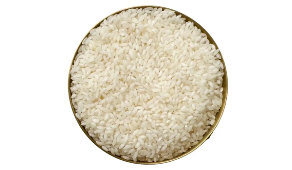Samba Rice Suppliers
