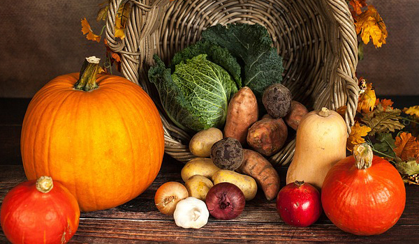 Vegetables Suppliers