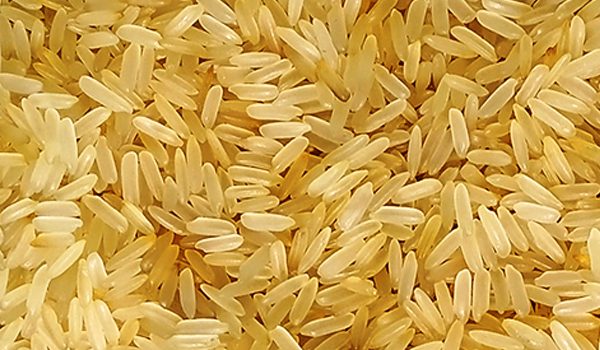 Parboiled Rice Suppliers