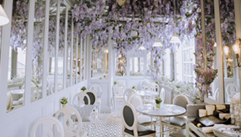 Interior Designing Services Suppliers Interior Designing Services Suppliers