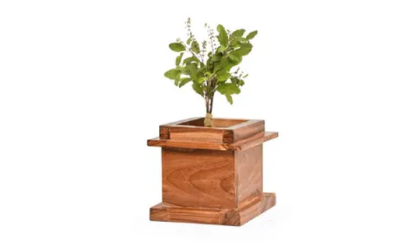 Tulsi Suppliers Tulsi Suppliers