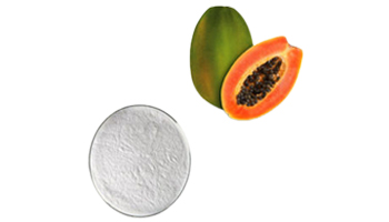 Papain Suppliers Papain Suppliers