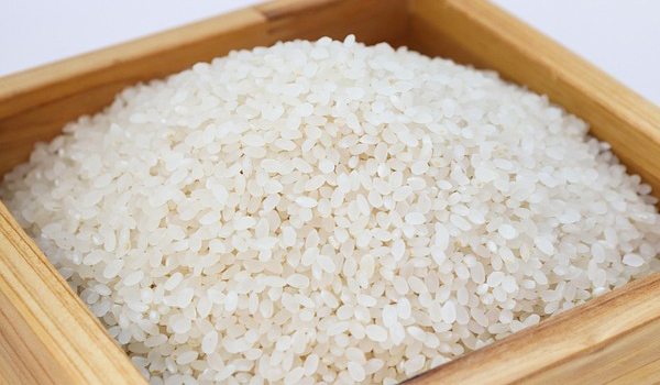 Rice Suppliers