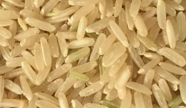 Brown Rice Suppliers