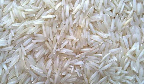 Biryani Rice Suppliers