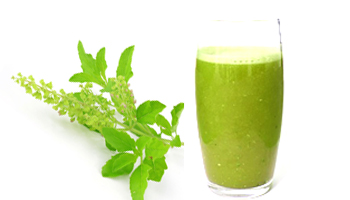 Tulsi Juice Suppliers Tulsi Juice Suppliers