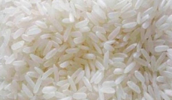 Katarni Rice Suppliers