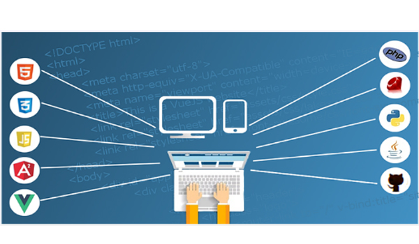 Programming & Web Development Softwares Supplier