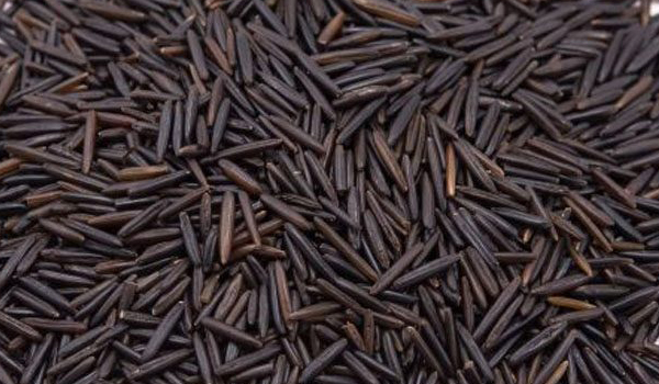 Black Rice Suppliers