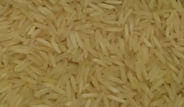 Sugandha Basmati Rice Suppliers in Sonipat