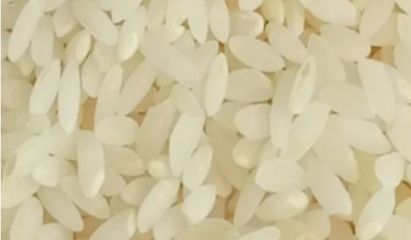 Jeerakasala Rice Suppliers