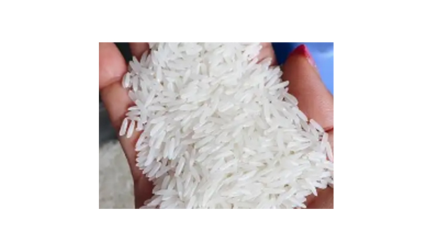 BPT Rice Suppliers