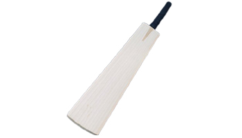 Popular Willow Suppliers Popular Willow Suppliers