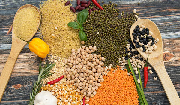 Pulses & Beans Suppliers