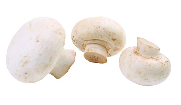 Button Mushrooms Suppliers