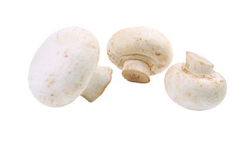 Mushroom Suppliers in Amravati