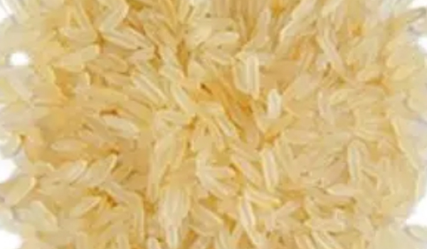 Surekha Rice Suppliers