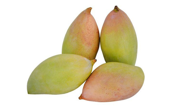 Totapuri Mangoes Suppliers in Srivilliputhur Totapuri Mangoes Suppliers in Srivilliputhur
