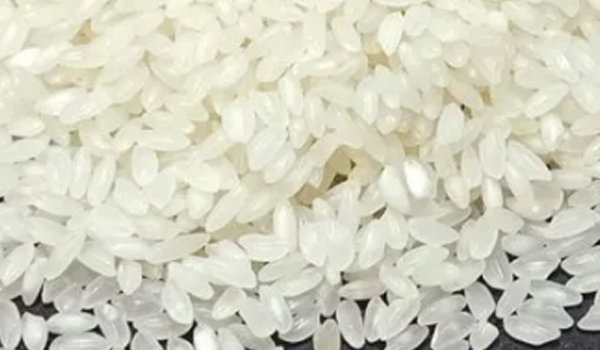 Ambemohar Rice Suppliers