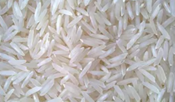 Dubraj Rice Suppliers