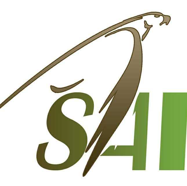 Sai Rice