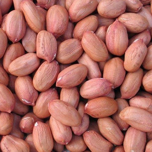 Sarav Agro