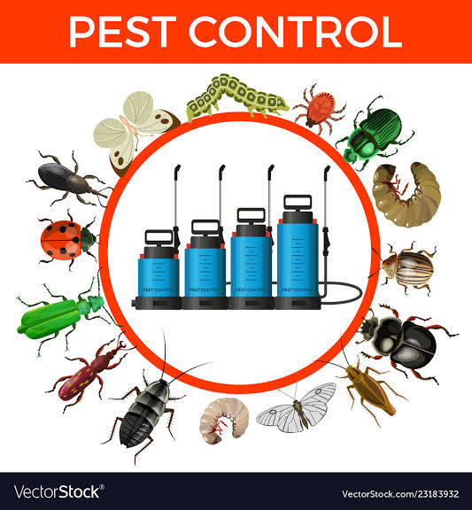 Shree Pest Control