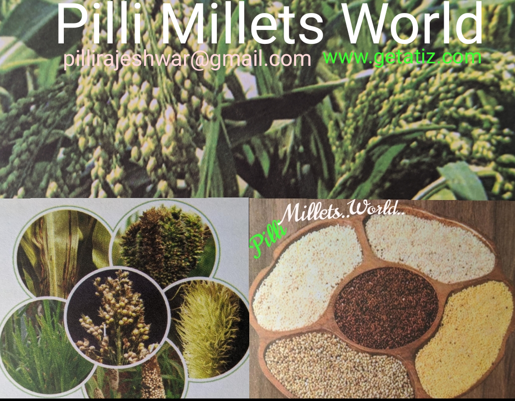 Pilli Millets world