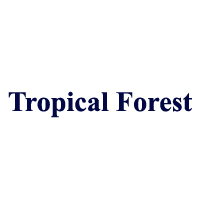 Tropical Forest