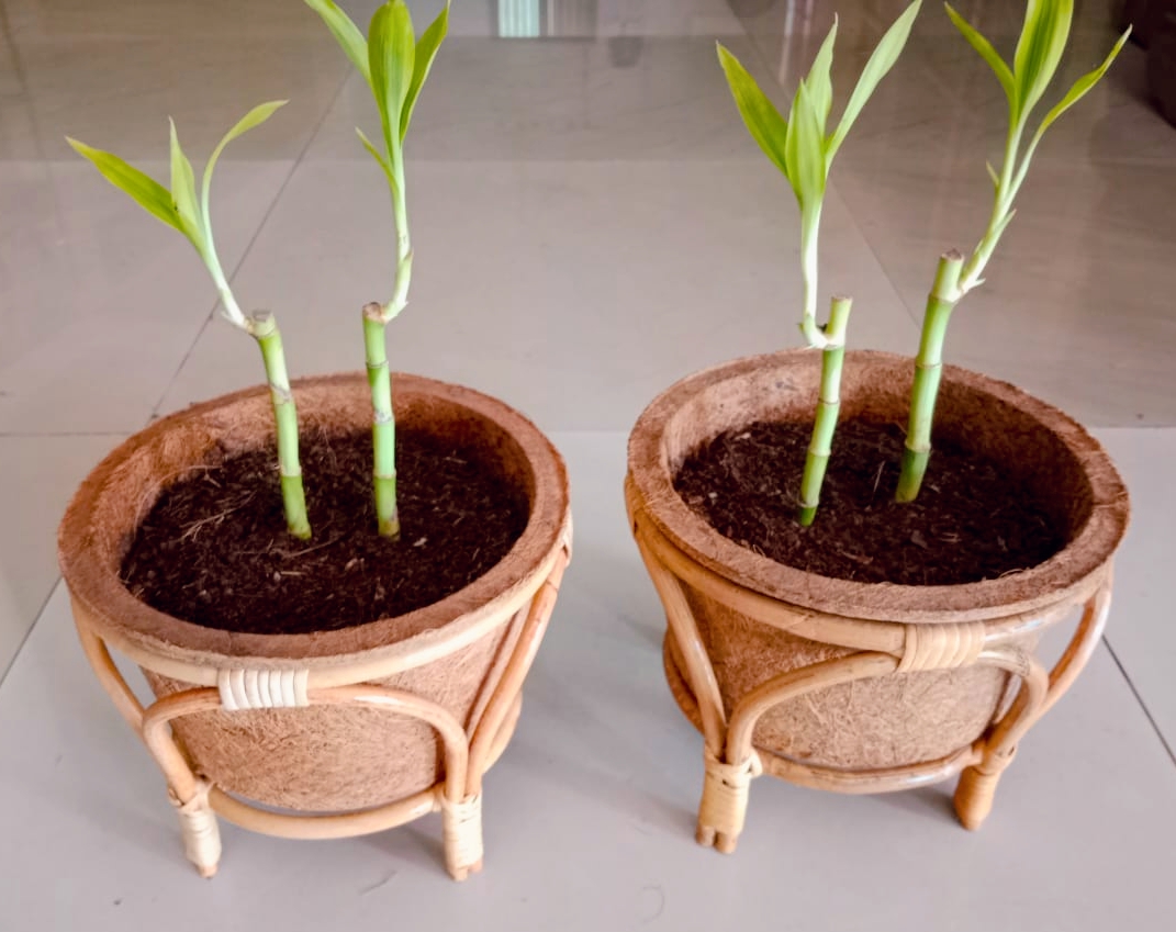 Eco Pots Enterprises