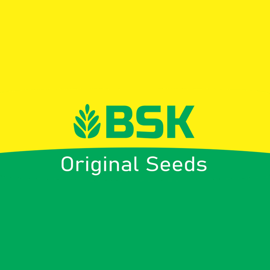 Best seeds Karanl