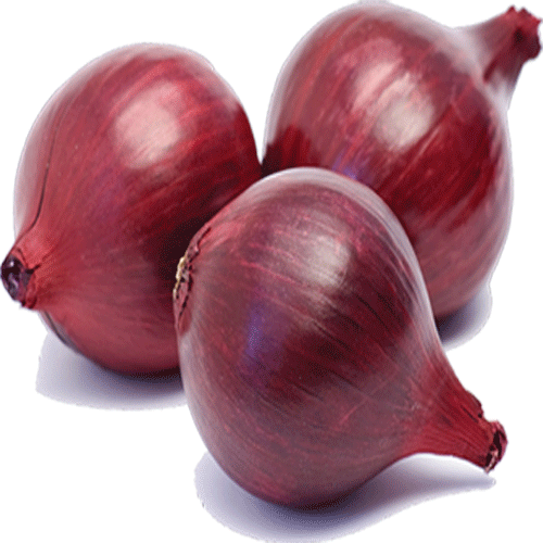 Best Quality Red Onion 