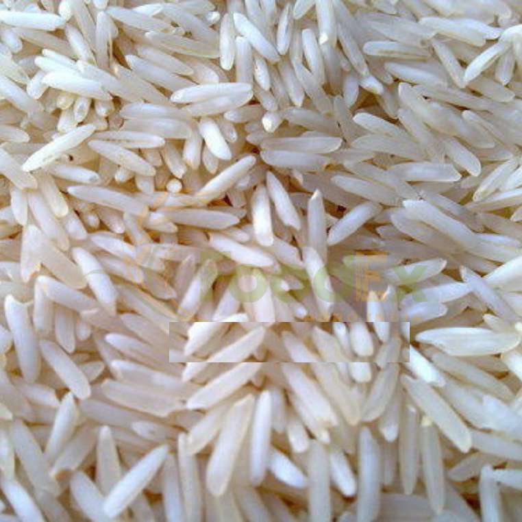 PUSA Steam Basmati Rice from FoodEx Agro India