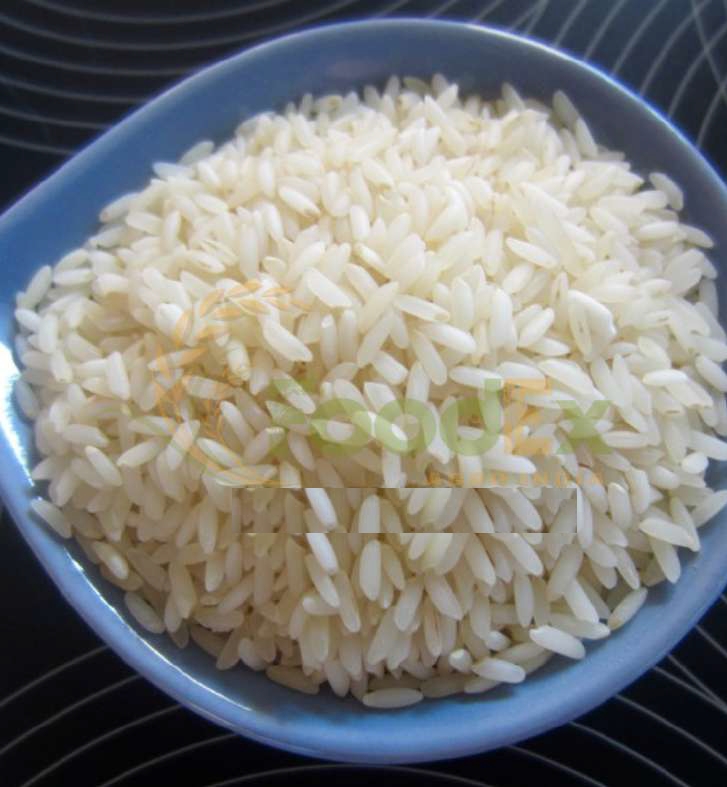 Sona Masoori Raw Rice from FoodEx Agro India