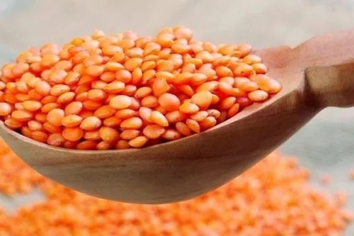 Red Lentil Masoor Dal, High in Protein from Rameshwaram G Export Import  Pvt Ltd