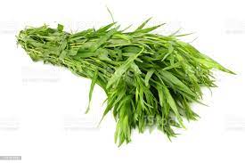 Tarragon Leaves  from Aditya Ayurvedic Supply Co