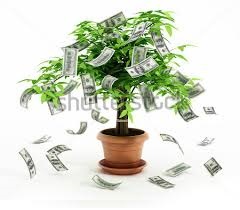 Startup Your Business At 3% Rate Loan Apply Now  from Nepolos Prosperity Financial Investors Group