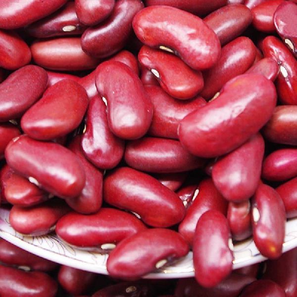 Kidney Beans From Juned And Sons from JUNED AND SONS