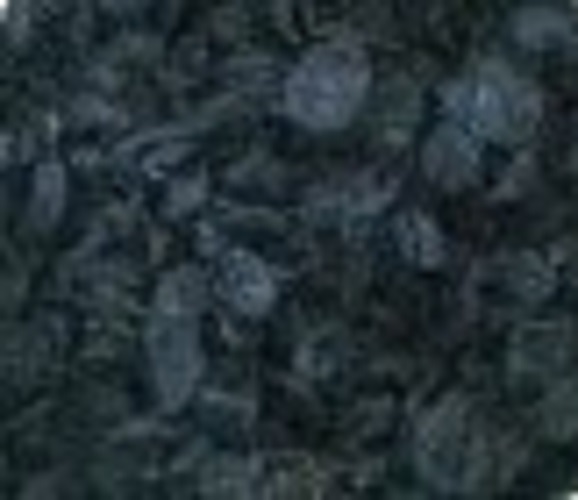 Kudampuli ( Dried Garcina Combagia) from Diya Agarbatti & Perfumery Works