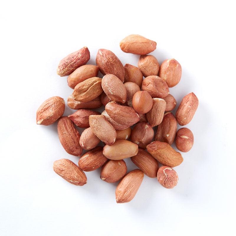 Best Quality Raw Groundnut  from Millennium Grains Imports & Exports