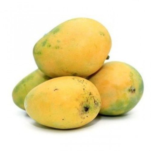 Banganapalli Mangoes((Bulk Supplies Volume Business Only))