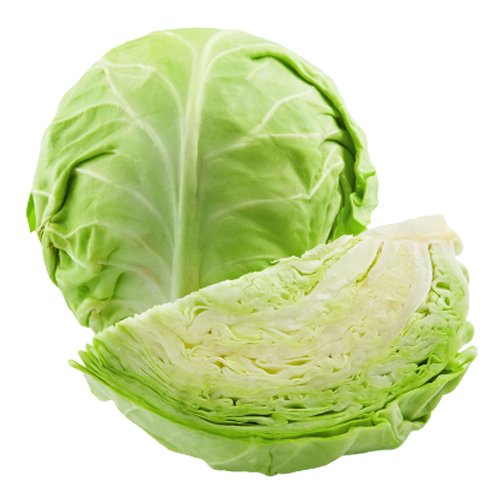 Premium Quality Natural Fresh Cabbage For Wholesale from DINESH TRADER