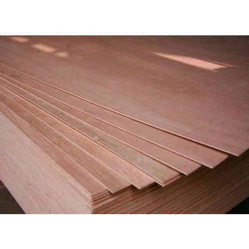 Royal Veneer Plywood from Shree Jeen Plywood