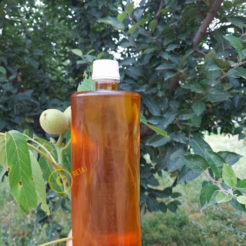 Organic Cold Pressed Walnut Oil from Retaj Agro Farm