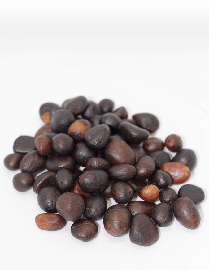 Best Quality Palm kernel