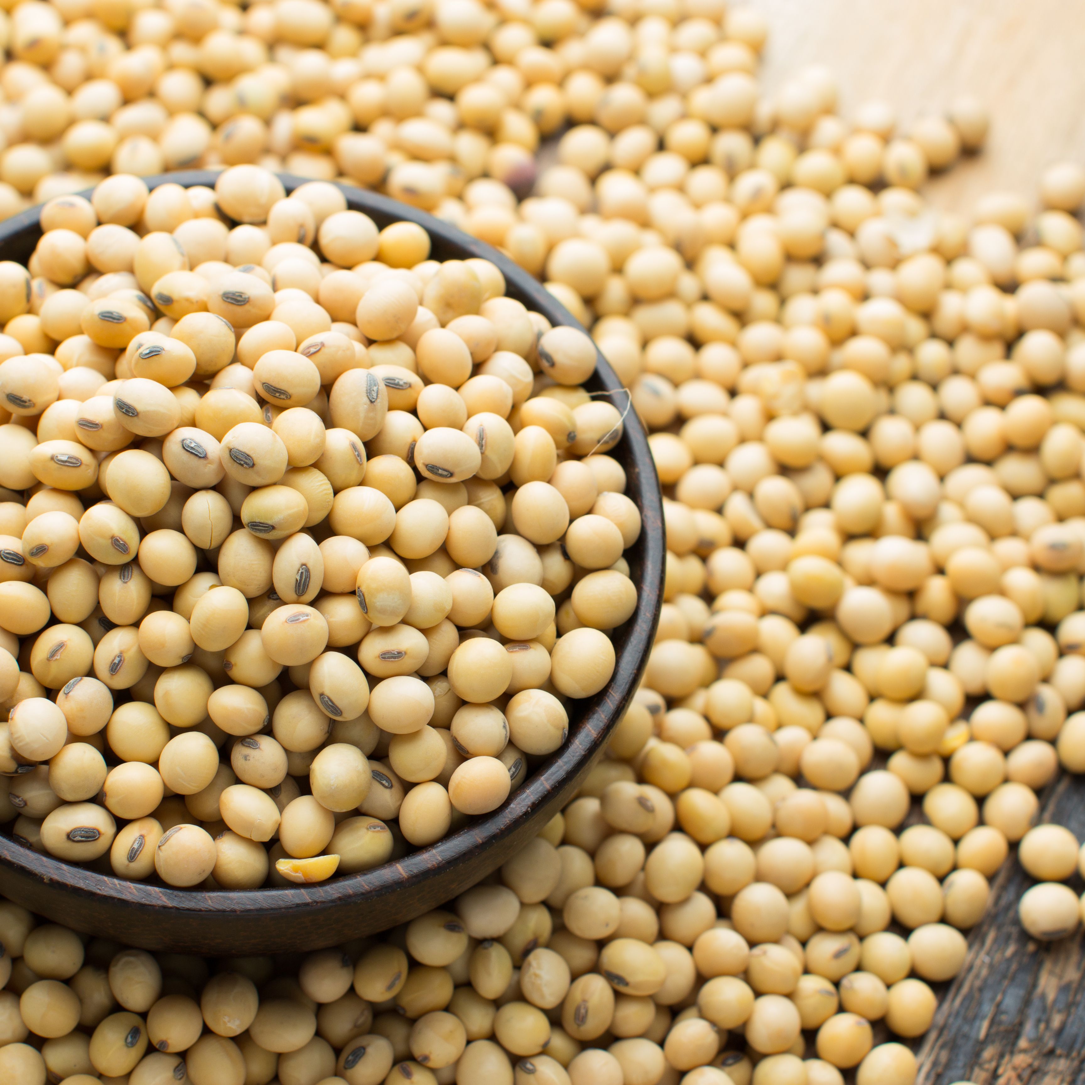 Soybean from AKIIKA INVESTMENT LTD 