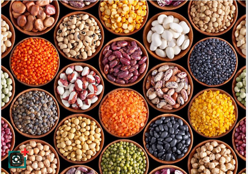 Pulses and Legumes from SPD
