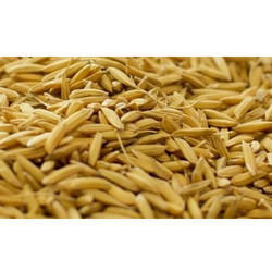 Rice Bran from CK AND CO